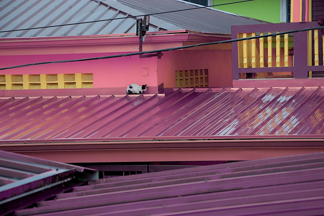 盛岡の厳しい冬に備える！屋根塗装で得られる驚きの効果3選