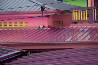 盛岡で長持ちする屋根塗装とは？耐久性の高い塗料ランキング